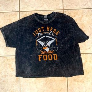 Disney Pocahontas crop top